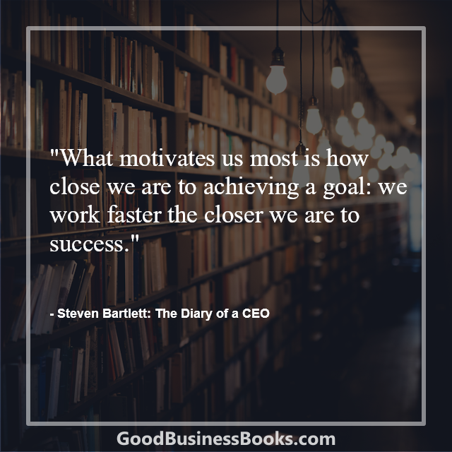 The Diary of a CEO